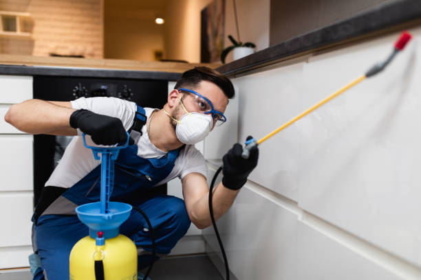 Best Residential Pest Control  in Heceta Beach, OR
