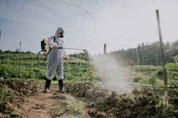 Best Pest Removal Services  in Heceta Beach, OR