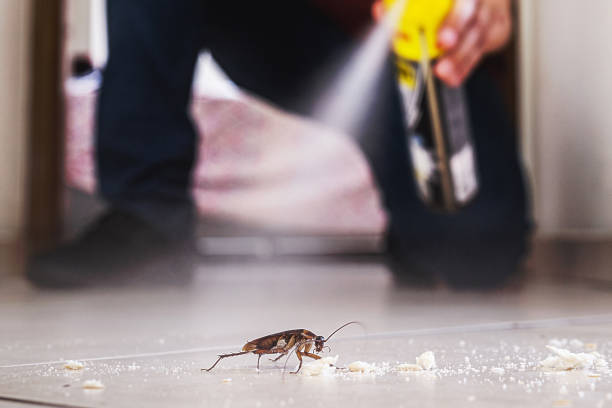 Best Commercial Pest Control Services  in Heceta Beach, OR